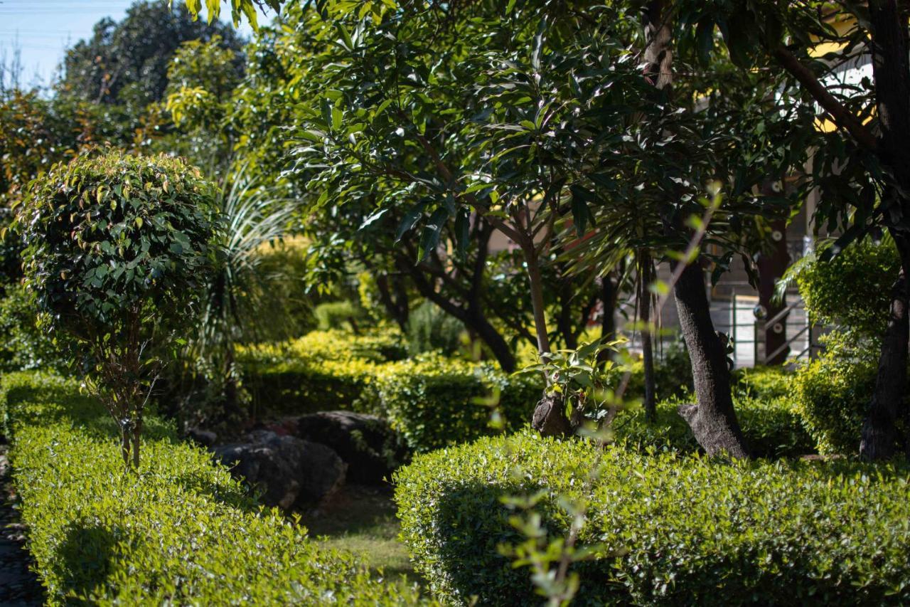 Mvt Guesthouse & Restaurant Rishīkesh Buitenkant foto